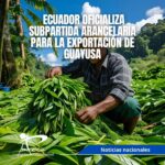 Ecuador oficializa subpartida arancelaria para la exportación de guayusa