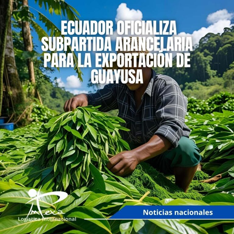 Ecuador oficializa subpartida arancelaria para la exportación de guayusa