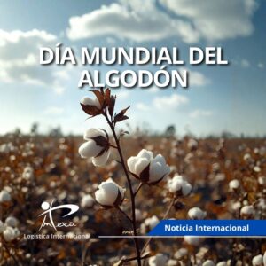 Algodón